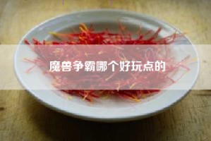 魔兽争霸哪个好玩点的