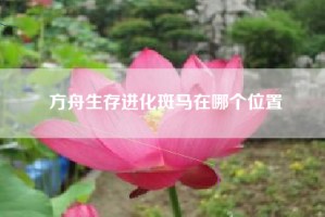 方舟生存进化斑马在哪个位置