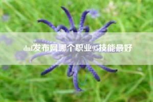 dnf发布网哪个职业95技能最好