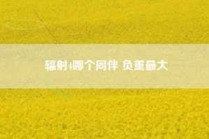 辐射4哪个同伴 负重最大