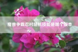 魔兽争霸忍村随机技能是哪个版本