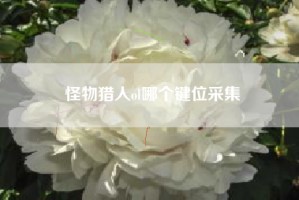 怪物猎人ol哪个键位采集