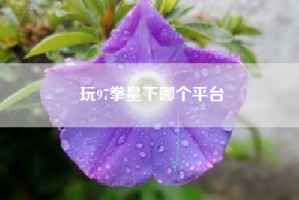 玩97拳皇下哪个平台