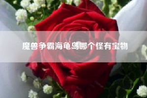 魔兽争霸海龟岛哪个怪有宝物