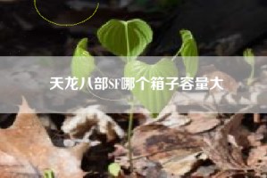天龙八部SF哪个箱子容量大