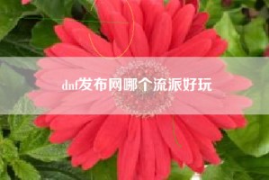 dnf发布网哪个流派好玩