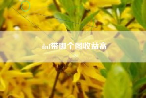 dnf带哪个图收益高