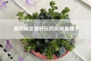 泰拉瑞亚最好玩的房间是哪个