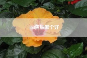 dnf黑钻哪个好