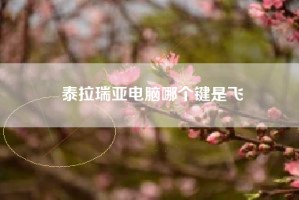 泰拉瑞亚电脑哪个键是飞