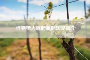 怪物猎人崛起拿翻滚是哪个
