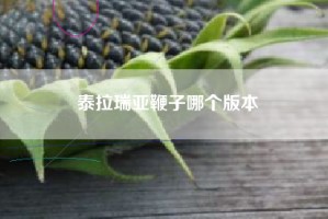 泰拉瑞亚鞭子哪个版本