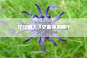 怪物猎人世界榴弹用哪个