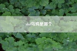 dnf乌鸡是哪个