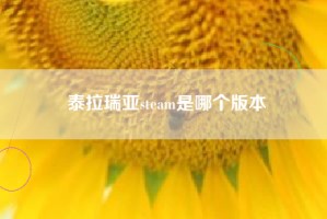 泰拉瑞亚steam是哪个版本