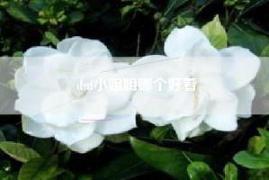 dnf小姐姐哪个好看