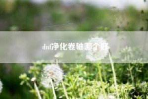 dnf净化卷轴哪个好