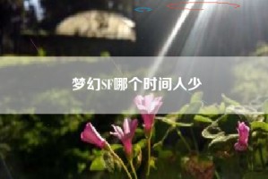 梦幻SF哪个时间人少