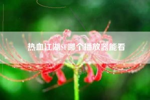 热血江湖SF哪个播放器能看