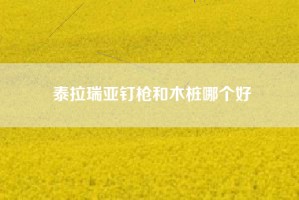 泰拉瑞亚钉枪和木桩哪个好