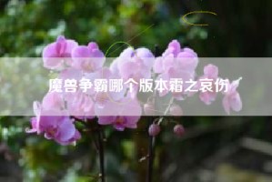 魔兽争霸哪个版本霜之哀伤