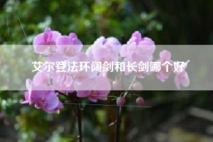 艾尔登法环阔剑和长剑哪个好