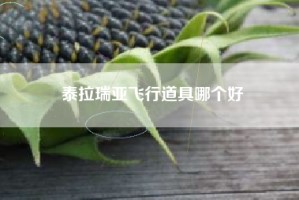泰拉瑞亚飞行道具哪个好