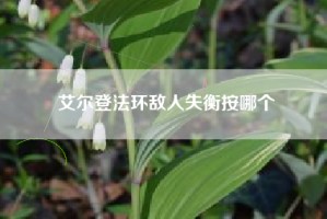 艾尔登法环敌人失衡按哪个