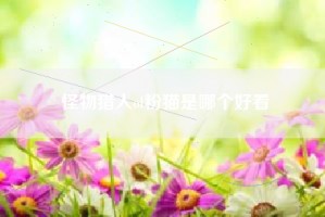 怪物猎人ol粉猫是哪个好看