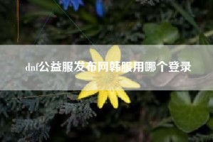 dnf公益服发布网韩服用哪个登录