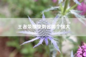 王者荣耀里刺客哪个强大
