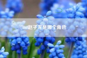 dnf赵子龙是哪个角色
