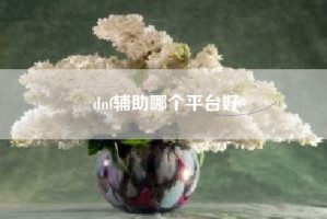 dnf辅助哪个平台好