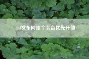 dnf发布网哪个装备优先升仙