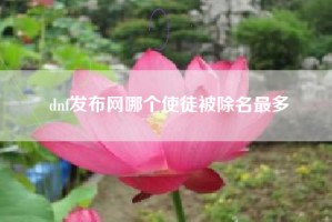dnf发布网哪个使徒被除名最多