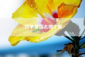 战争雷霆去哪个服