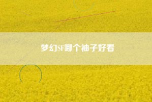 梦幻SF哪个袖子好看
