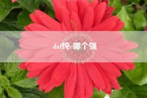 dnf纯c哪个强