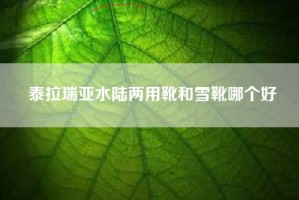 泰拉瑞亚水陆两用靴和雪靴哪个好