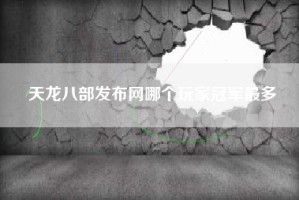 天龙八部发布网哪个玩家冠军最多