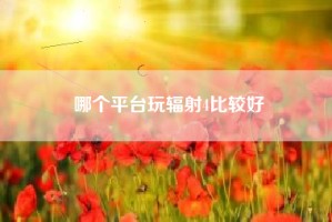 哪个平台玩辐射4比较好