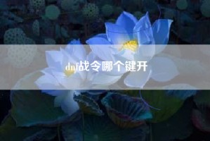 dnf战令哪个键开