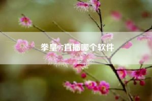 拳皇97直播哪个软件