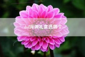 dnf深渊礼盒选哪个