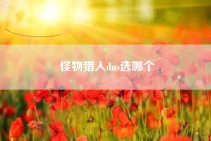 怪物猎人dns选哪个